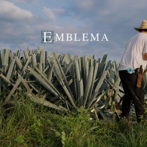 EMBLEMA EMBLEMA