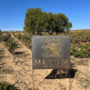 FOTO-CEPA MILENARIA FOTO-CEPA MILENARIA